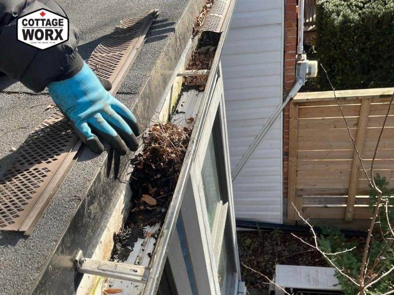 gutter cleaning wilberforce removing leaves and debris from cottage roof
